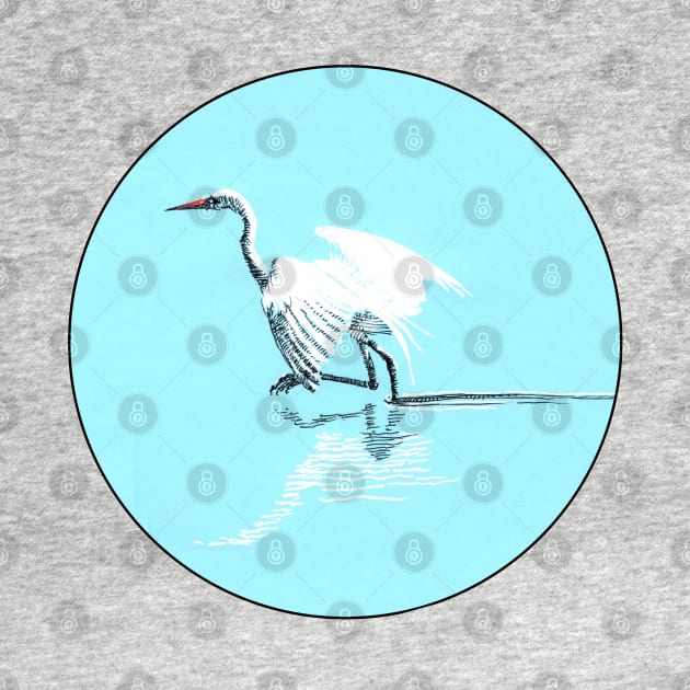 Egret in water by tsd-fashion